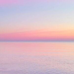 Meet your Posher, Carter